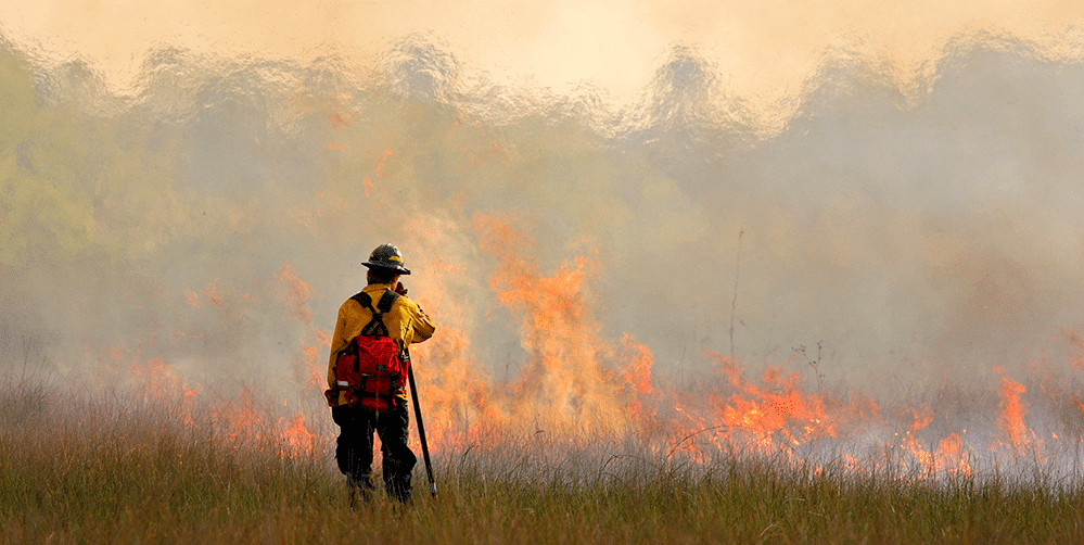 Feuerwehr Sicherheit In Wildland-Waldbränden